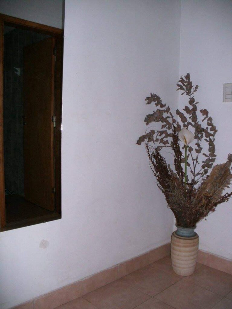 WhatsApp Image 2025-12-05 at 20.39.17