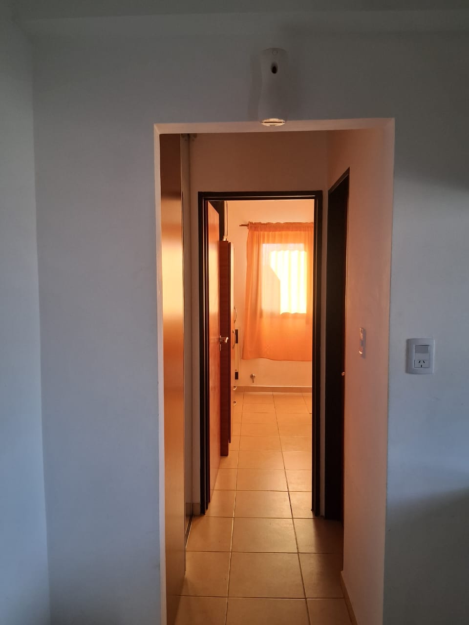 WhatsApp Image 2026-02-20 at 12.32.45