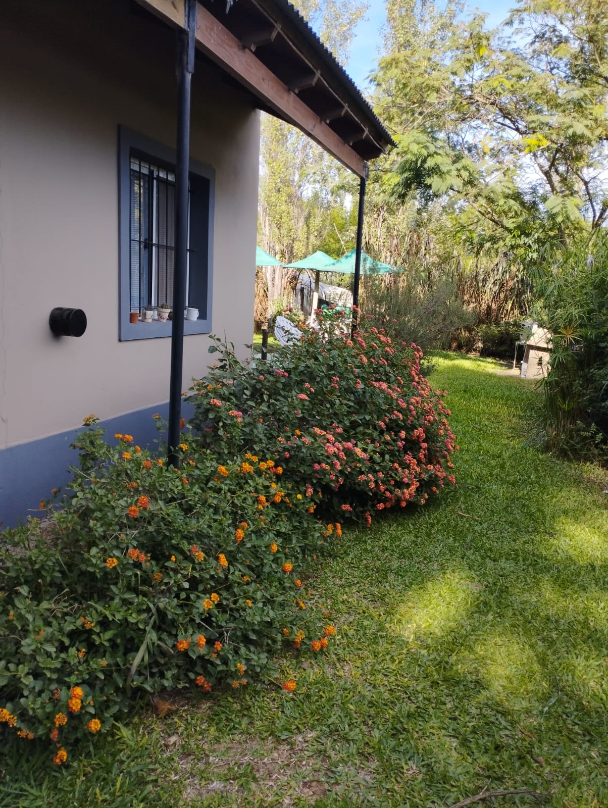 WhatsApp Image 2026-04-10 at 15.34.54 (1)