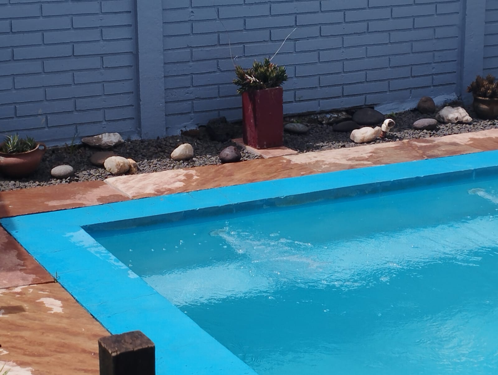 WhatsApp Image 2026-04-10 at 15.34.56 (2)