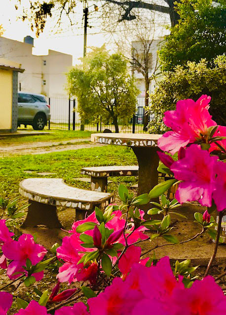 galeria-las-casitas-05-full
