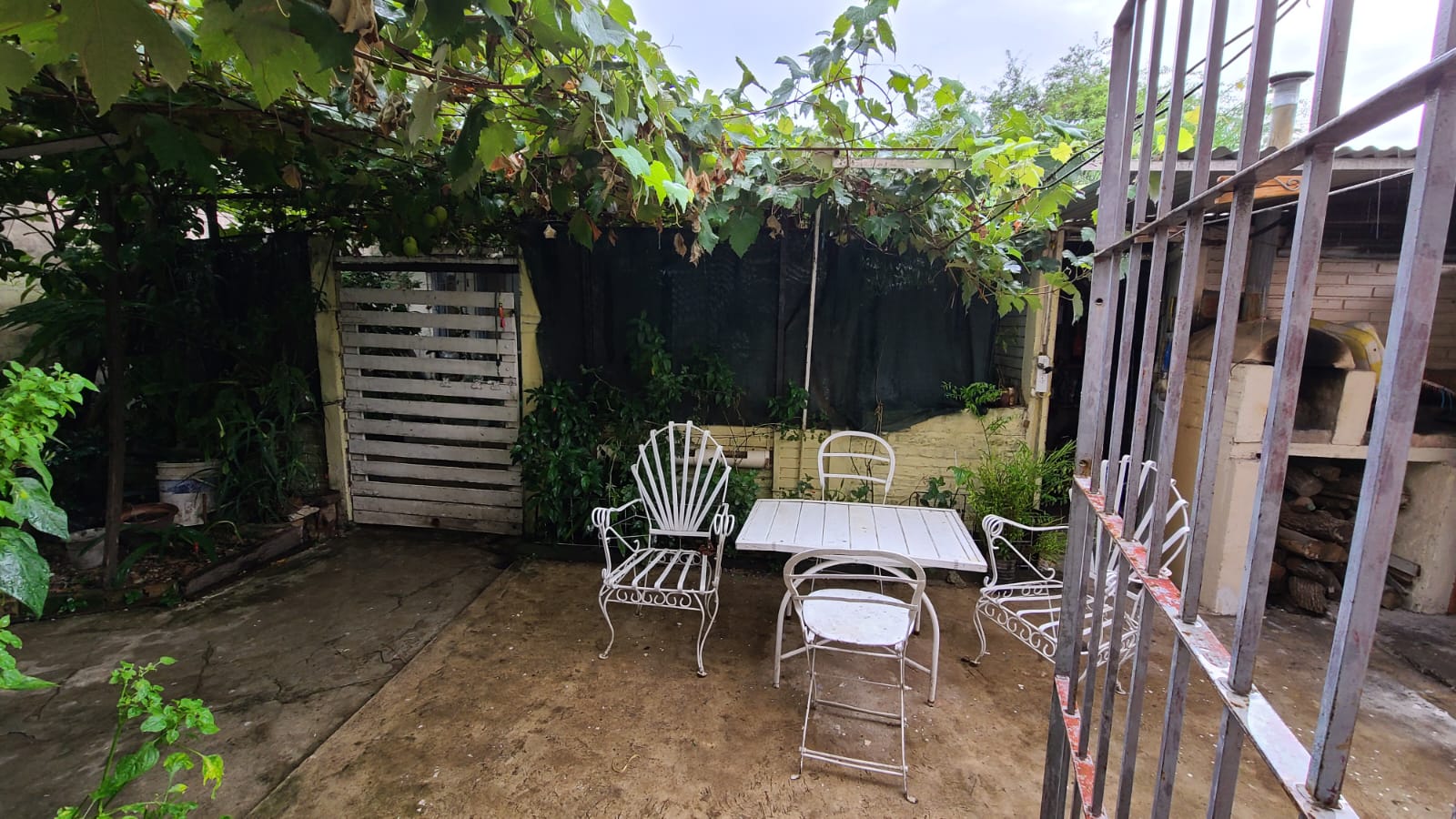 WhatsApp Image 2026-04-10 at 20.42.33