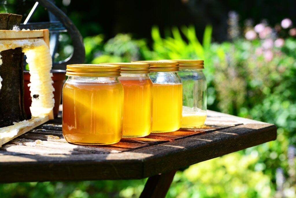 1567534967_honey-352205_1920