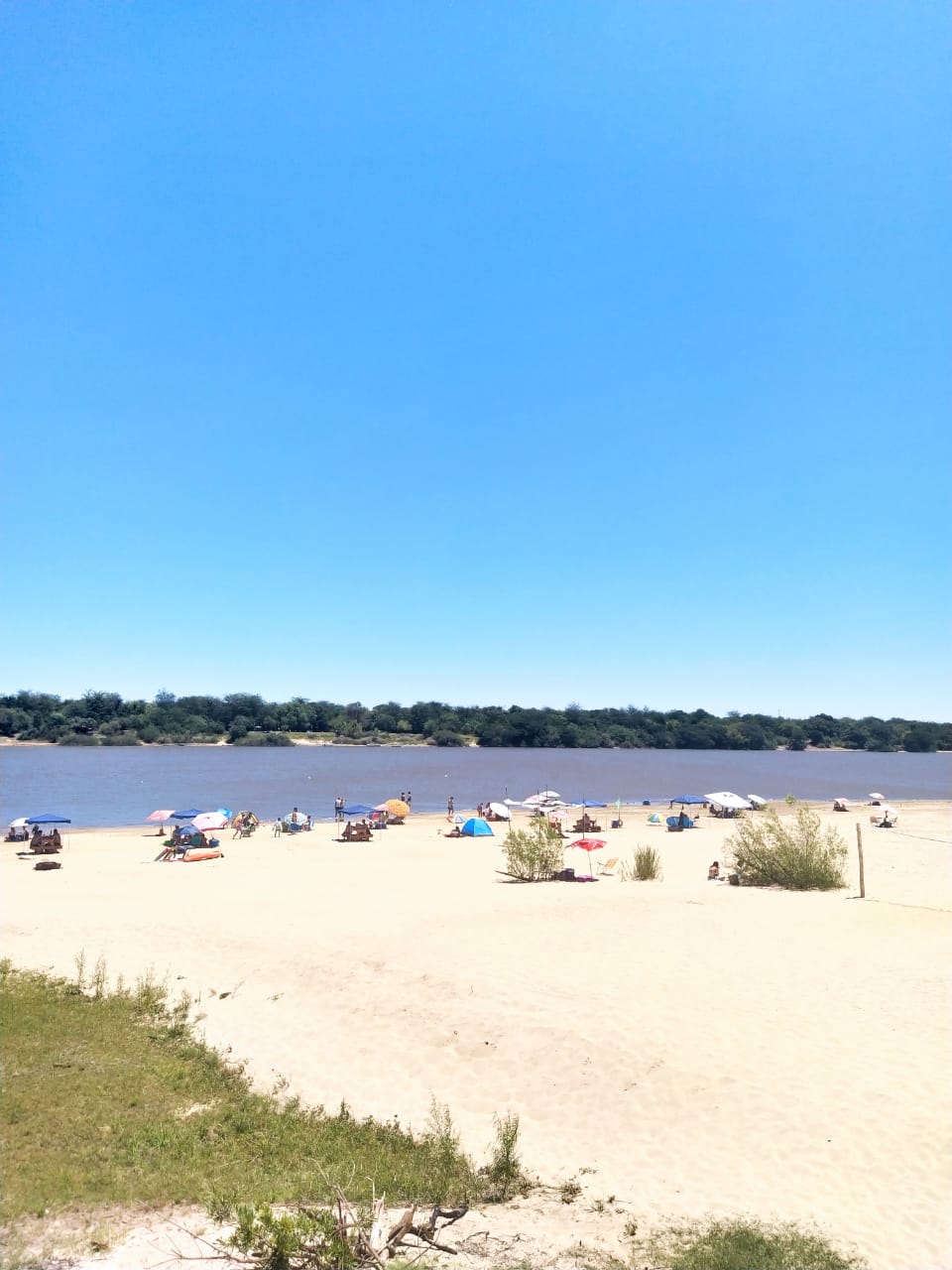 IMG-20210120-WA0016