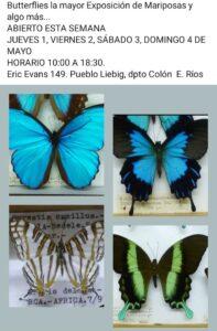 WhatsApp Image 2025-04-30 at 11.52.20