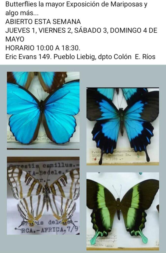 WhatsApp Image 2025-04-30 at 11.52.20