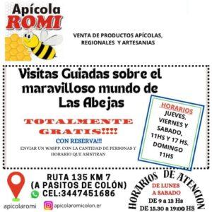 WhatsApp Image 2025-05-24 at 11.04.53