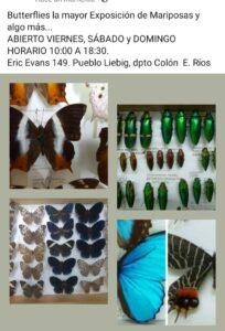 WhatsApp Image 2025-06-06 at 10.53.04