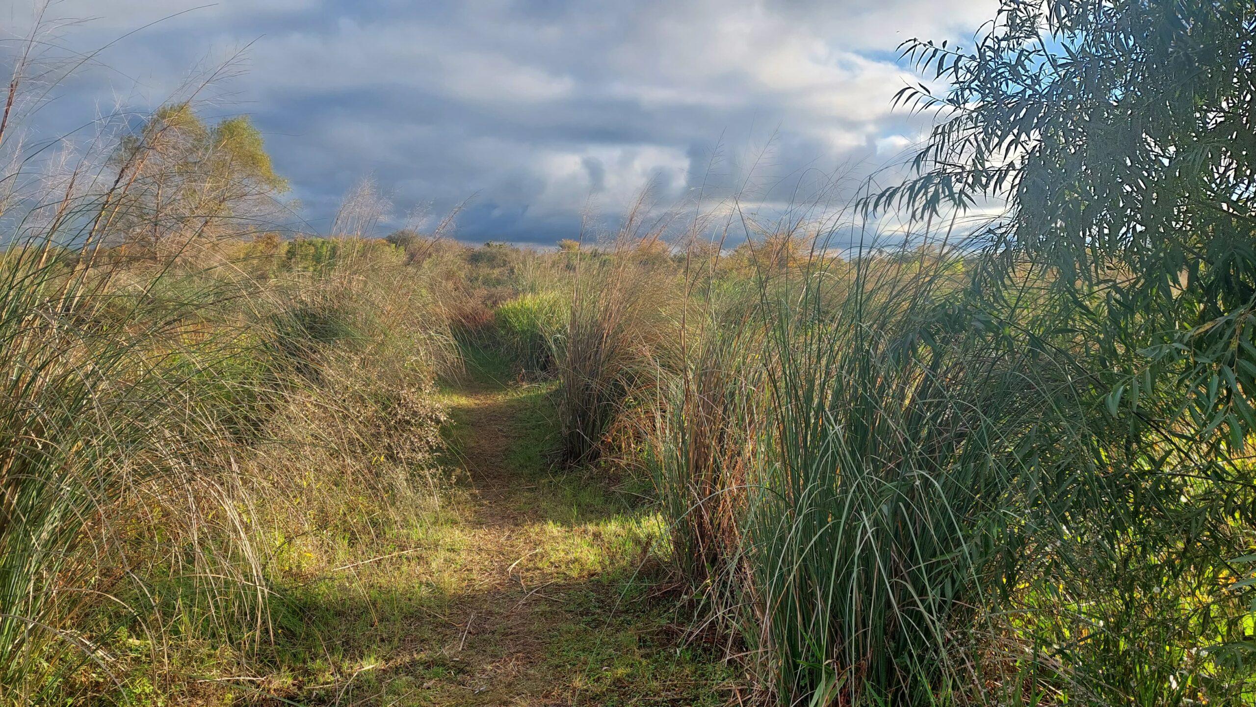 WhatsApp Image 2025-06-15 at 13.54.01