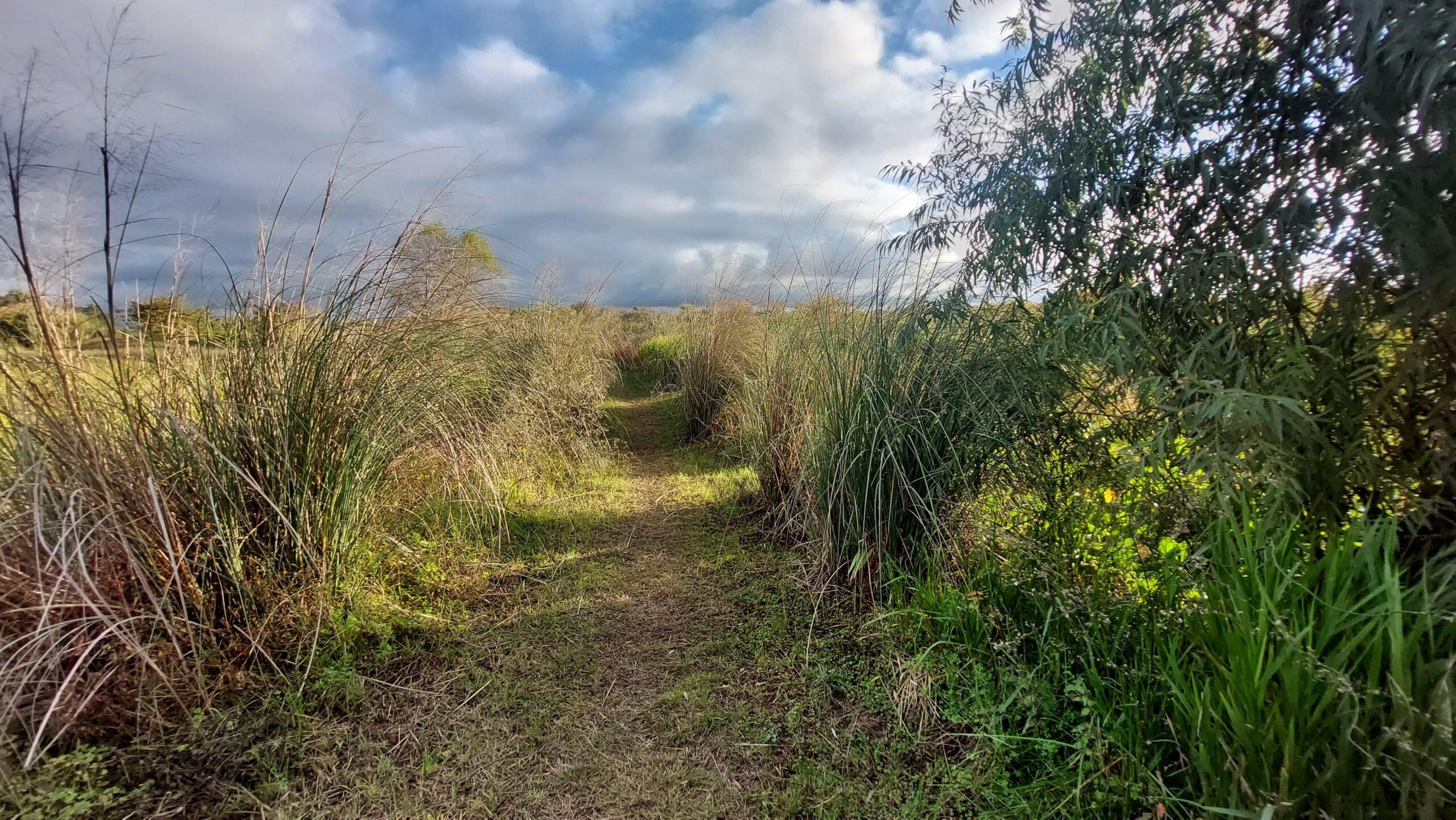 WhatsApp Image 2025-06-15 at 13.54.05