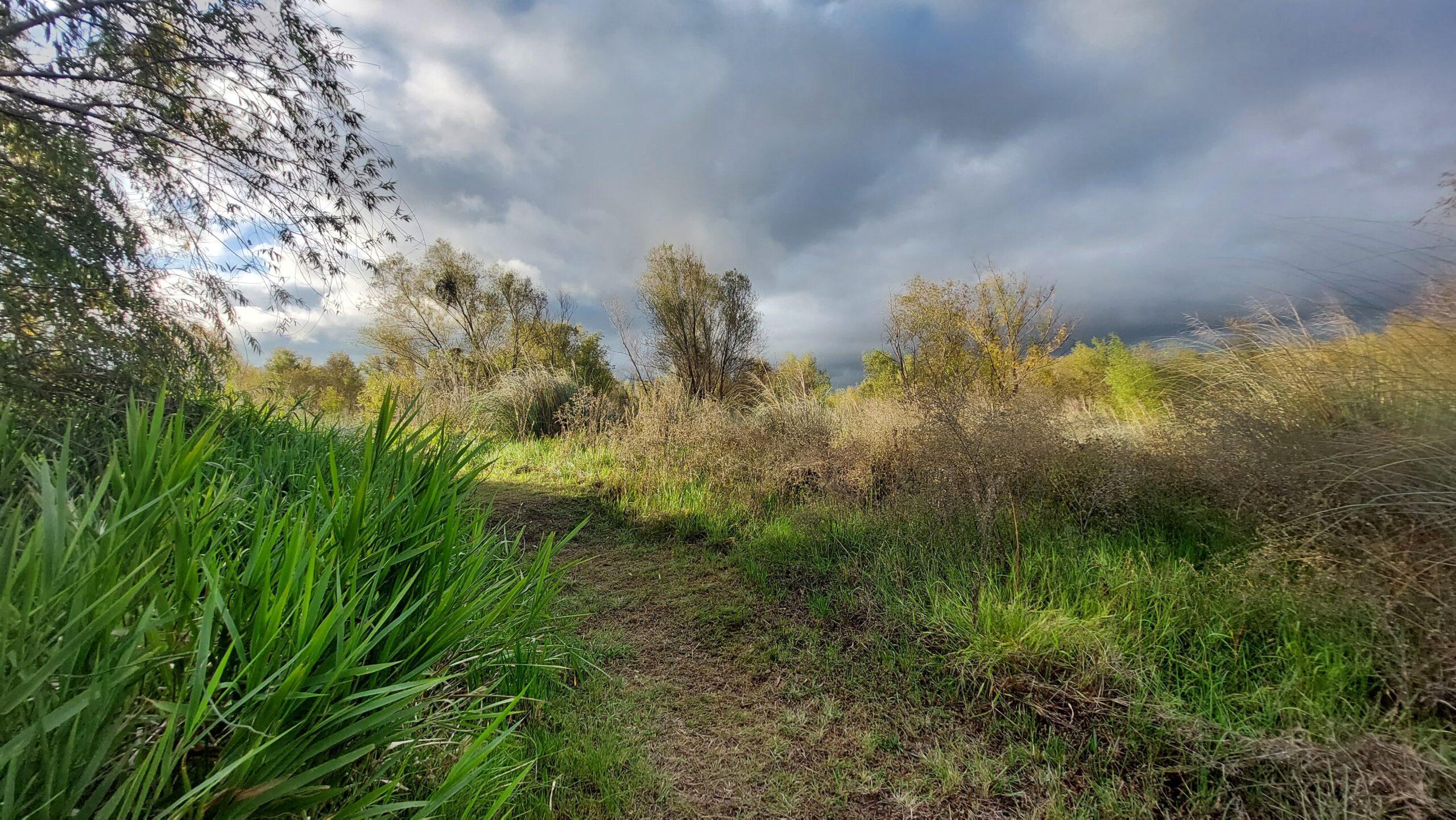 WhatsApp Image 2025-06-15 at 13.54.06