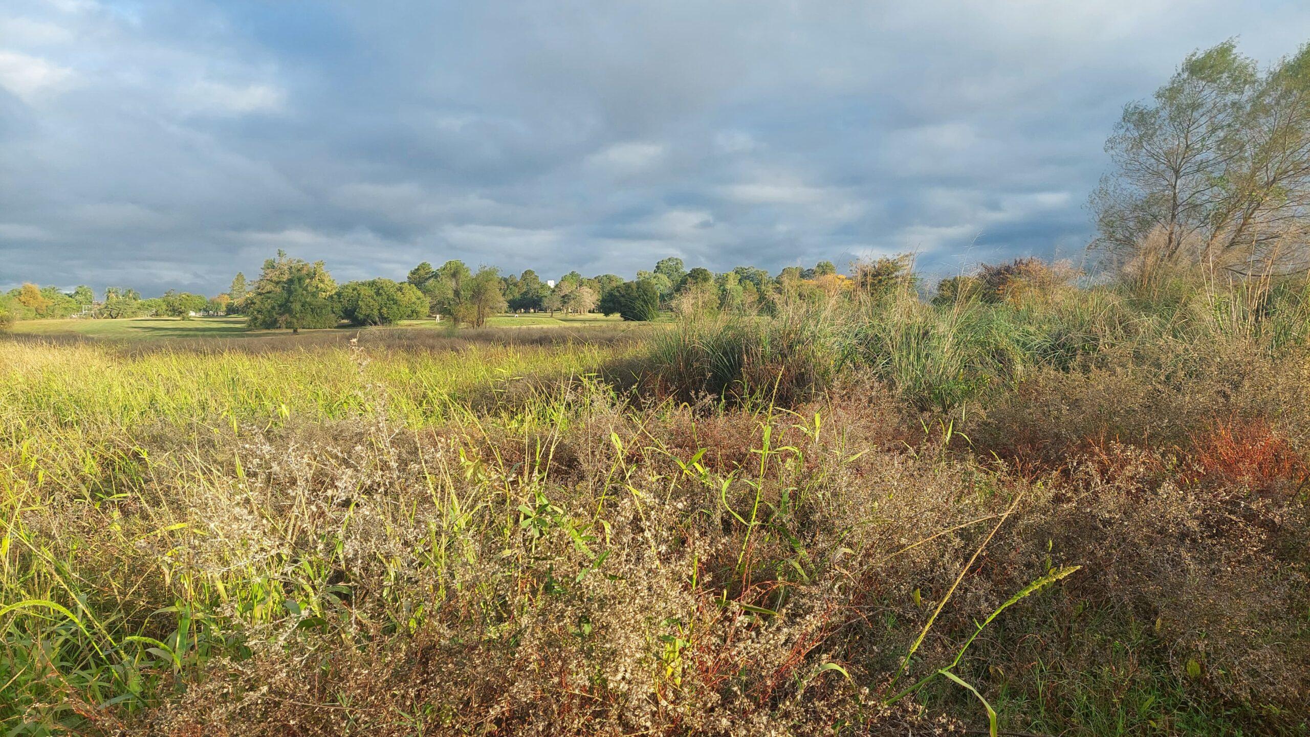 WhatsApp Image 2025-06-15 at 13.54.09