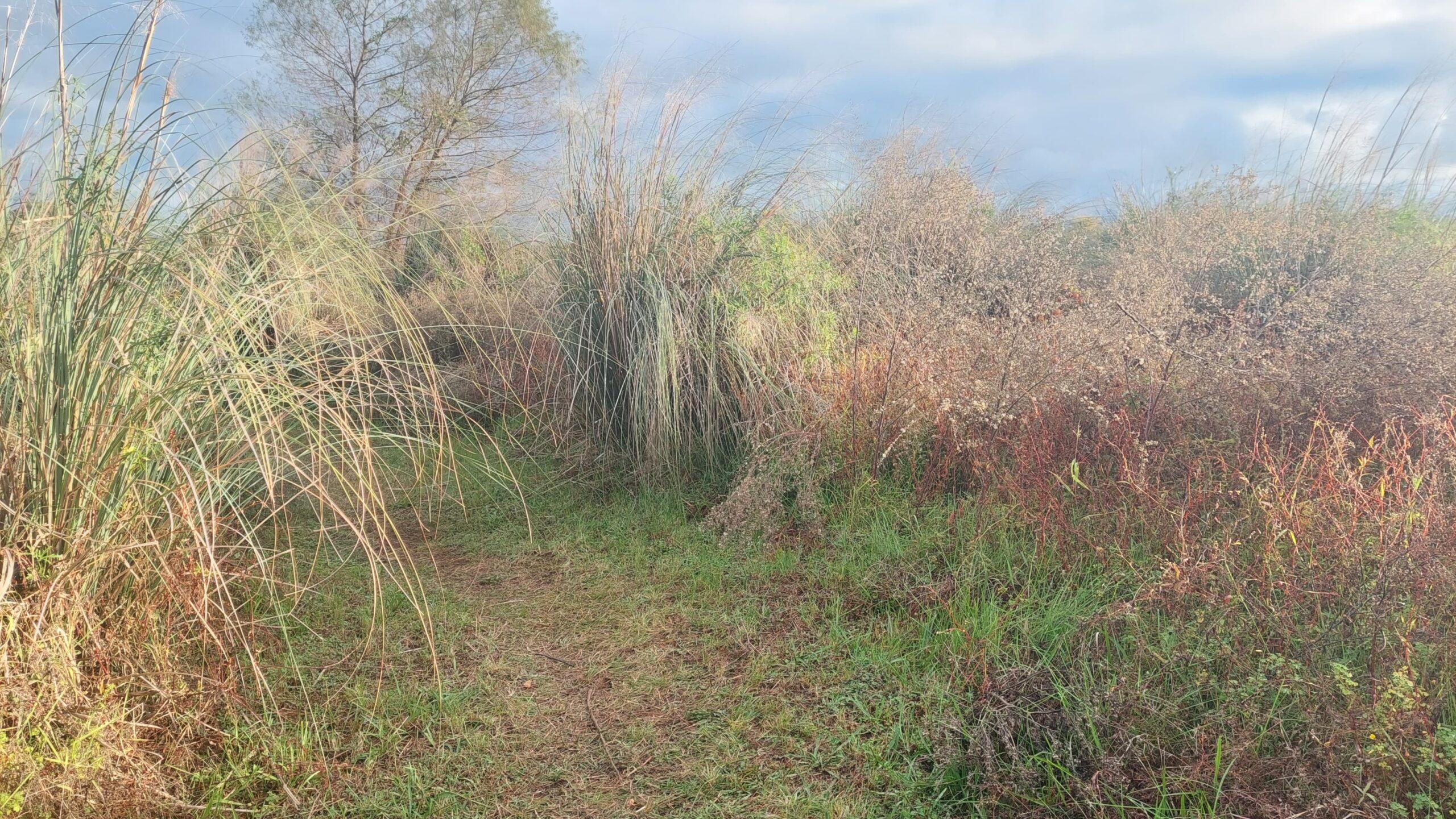 WhatsApp Image 2025-06-15 at 13.54.21 (2)