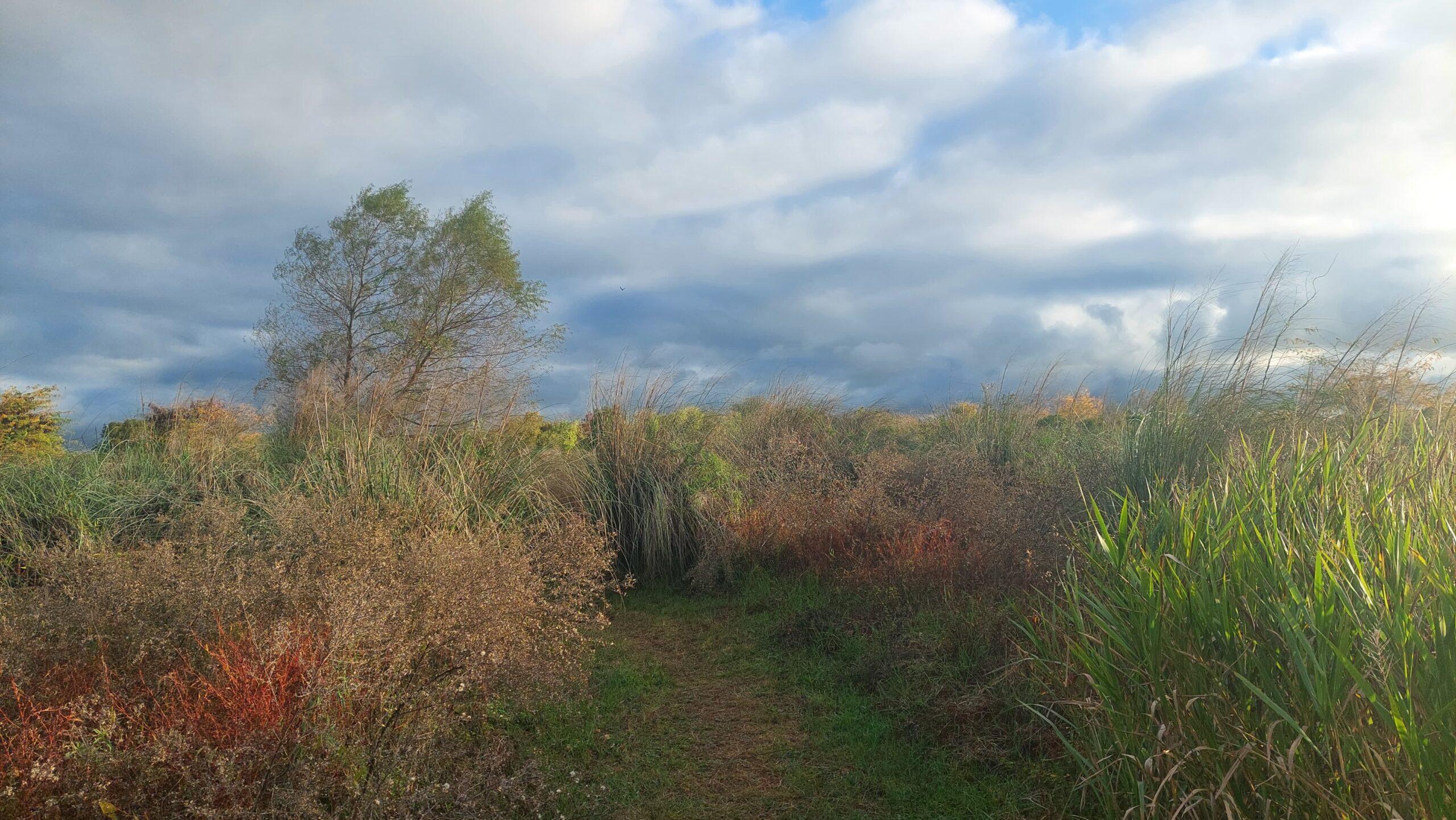 WhatsApp Image 2025-06-15 at 13.54.21