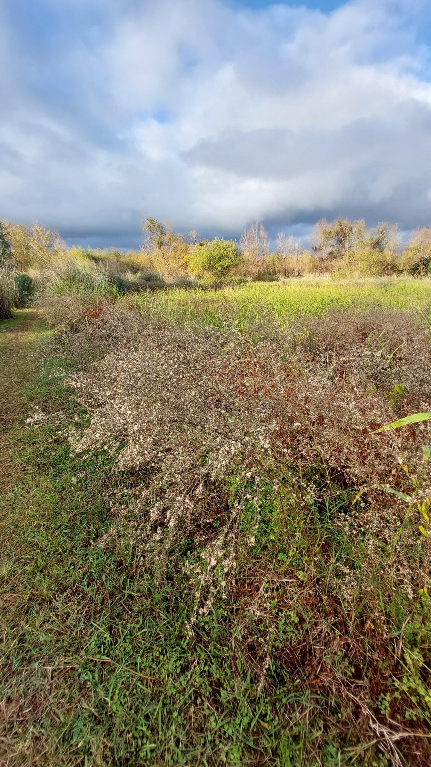 WhatsApp Image 2025-06-15 at 13.54.22 (2)