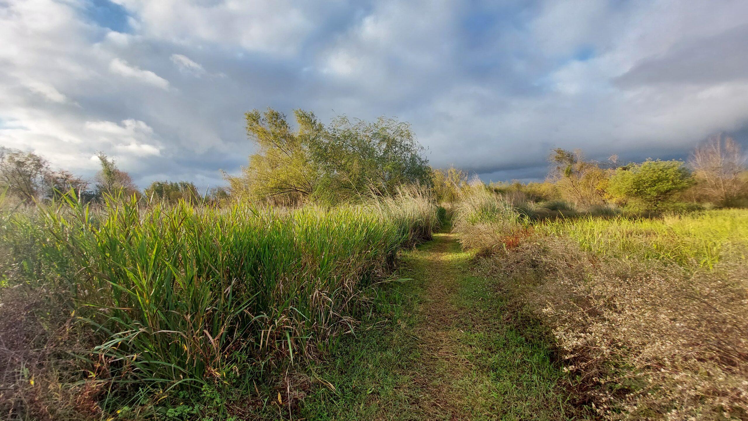 WhatsApp Image 2025-06-15 at 13.54.22