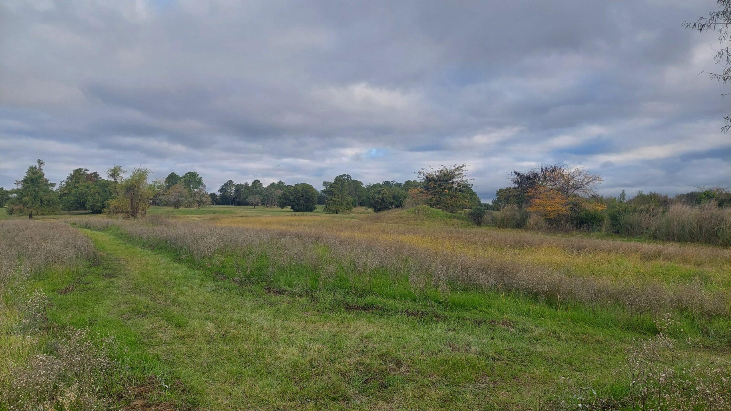 WhatsApp Image 2025-06-15 at 13.54.23