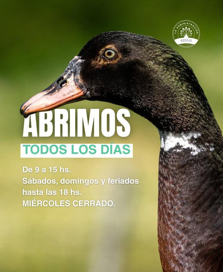 WhatsApp Image 2025-10-22 at 09.44.45