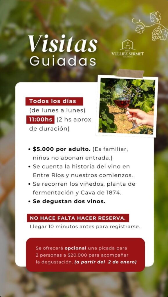 WhatsApp Image 2025-12-31 at 01.10.55