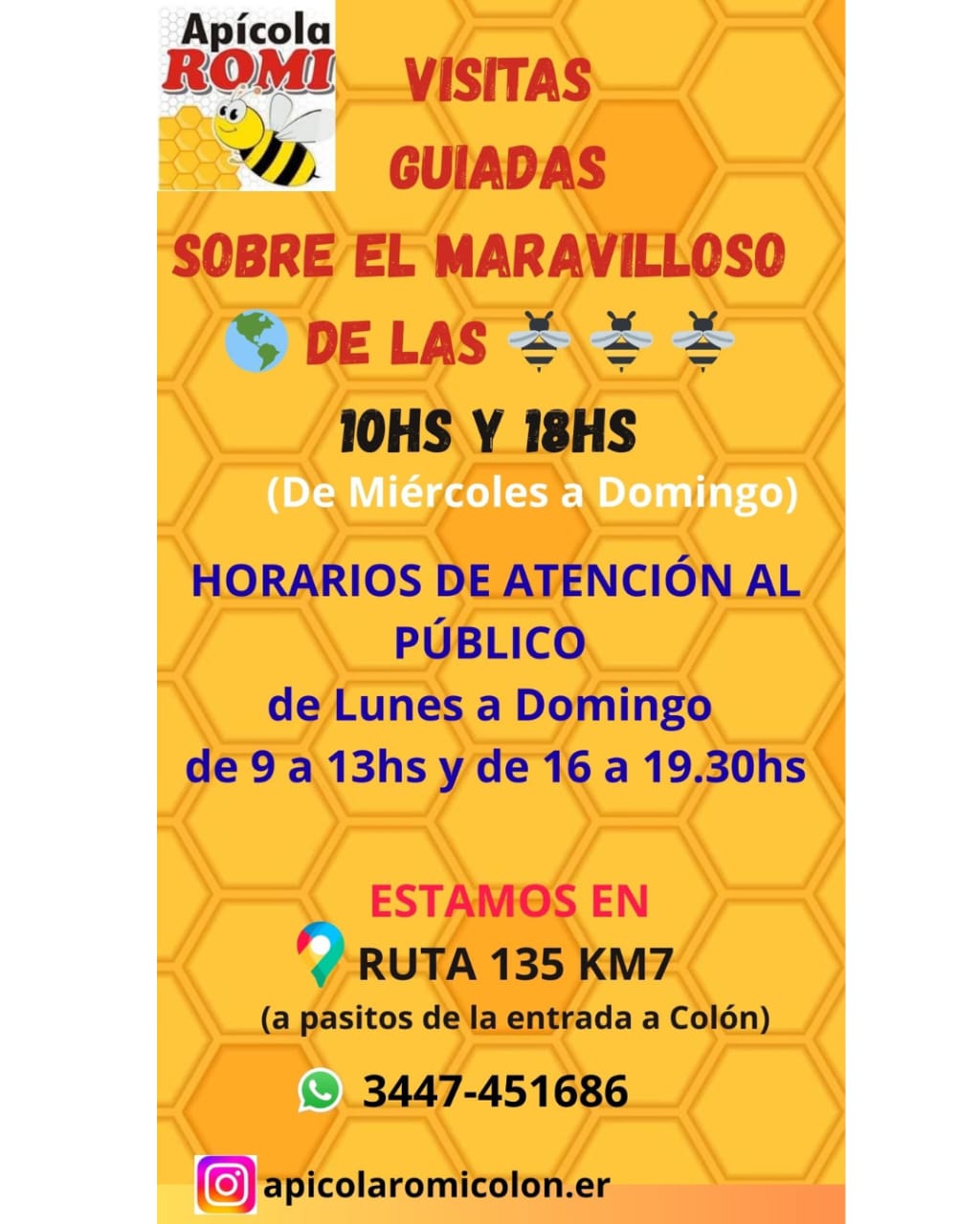 WhatsApp Image 2026-01-04 at 17.36.59