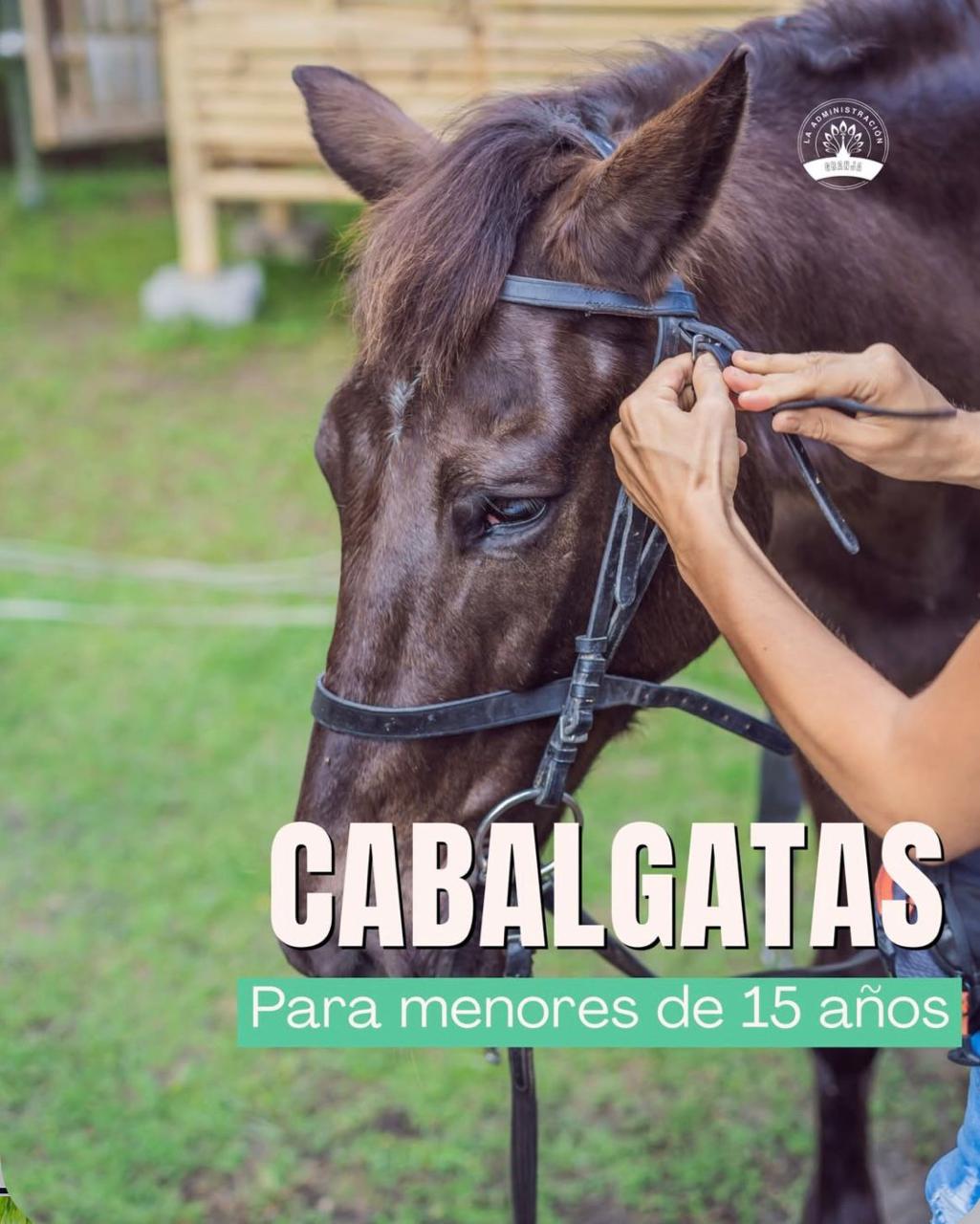 WhatsApp Image 2026-01-11 at 09.29.17 (1)