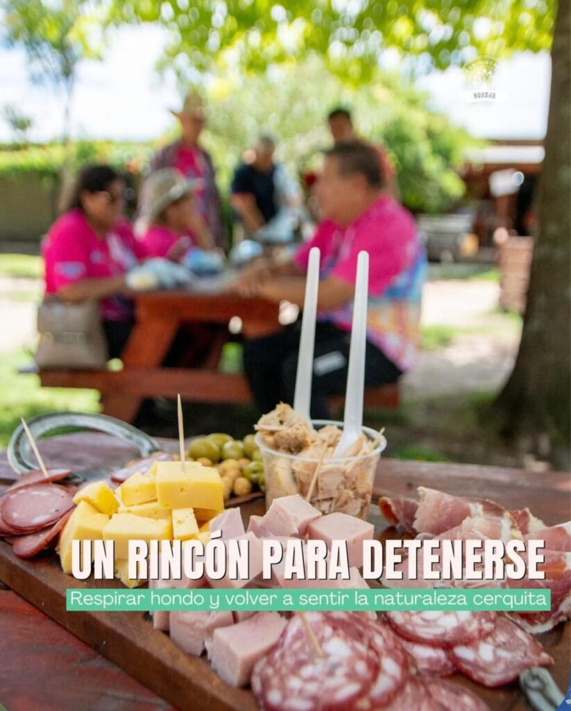 WhatsApp Image 2026-01-11 at 09.29.17 (2)