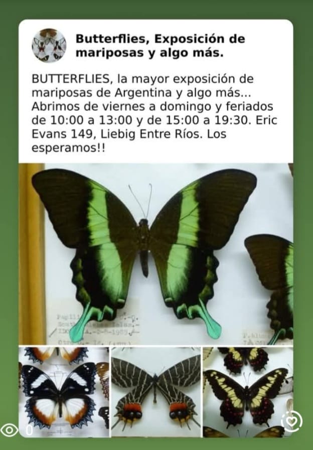 WhatsApp Image 2026-02-19 at 22.13.08