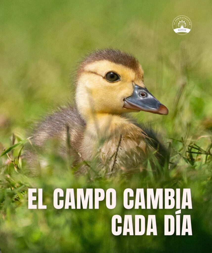 WhatsApp Image 2026-03-04 at 09.12.18