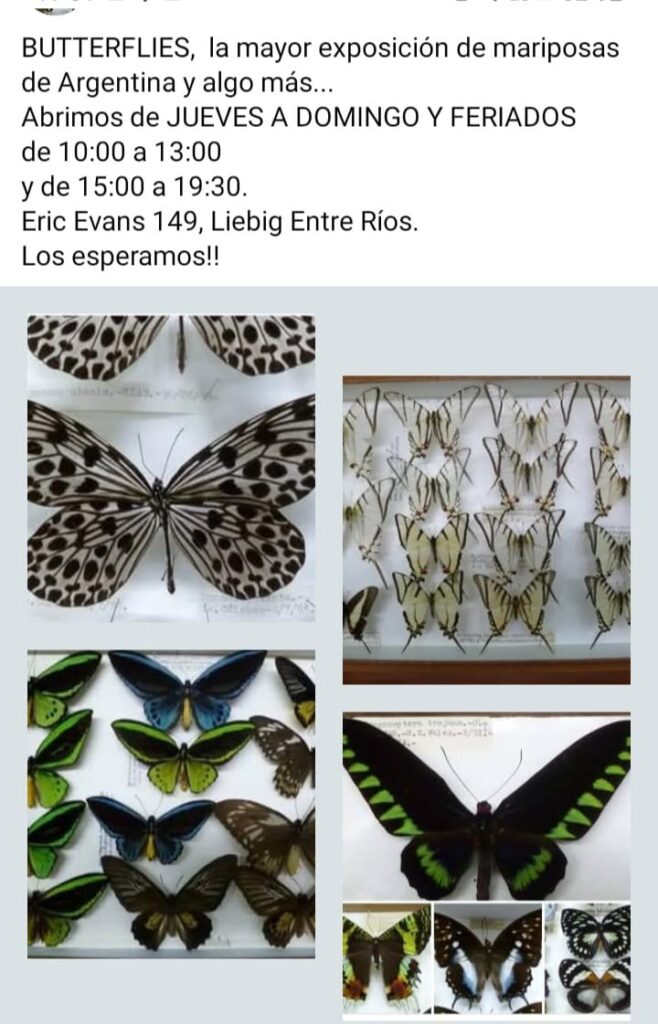 WhatsApp Image 2026-03-11 at 19.06.55