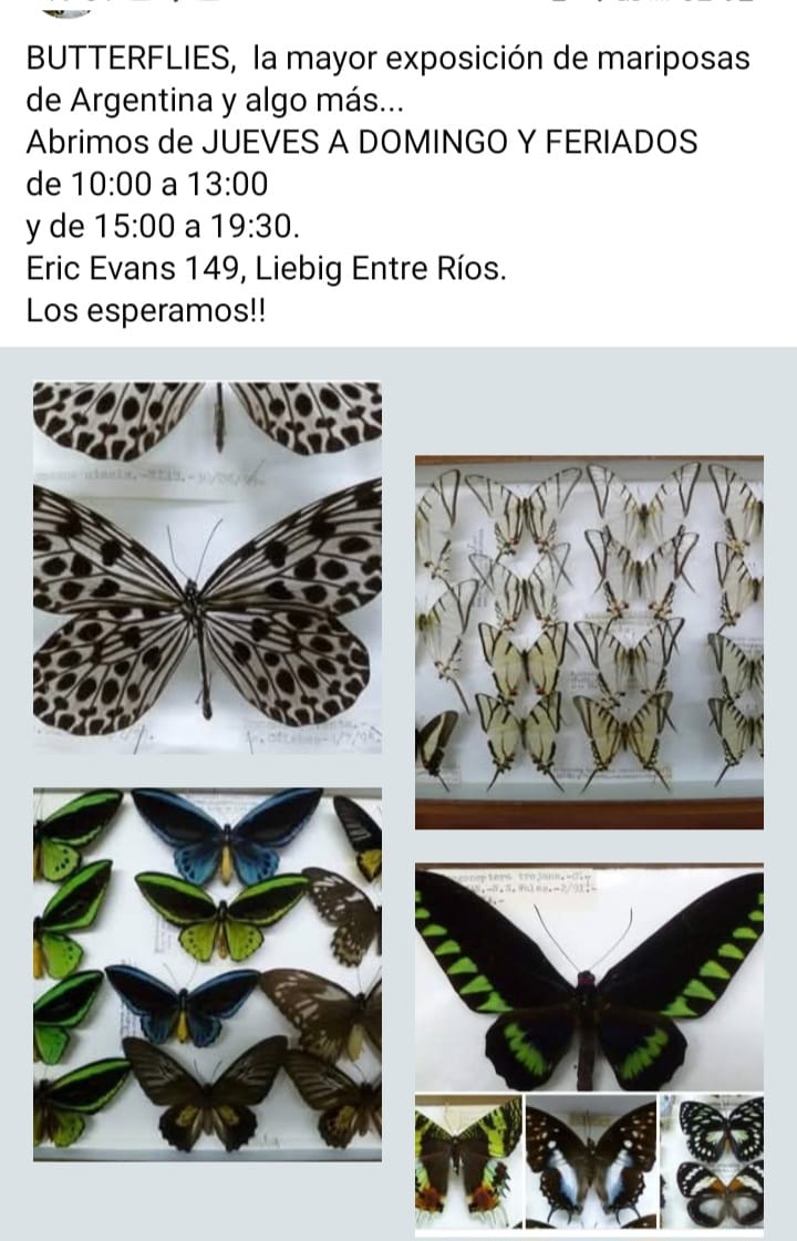 WhatsApp Image 2026-03-11 at 19.06.55