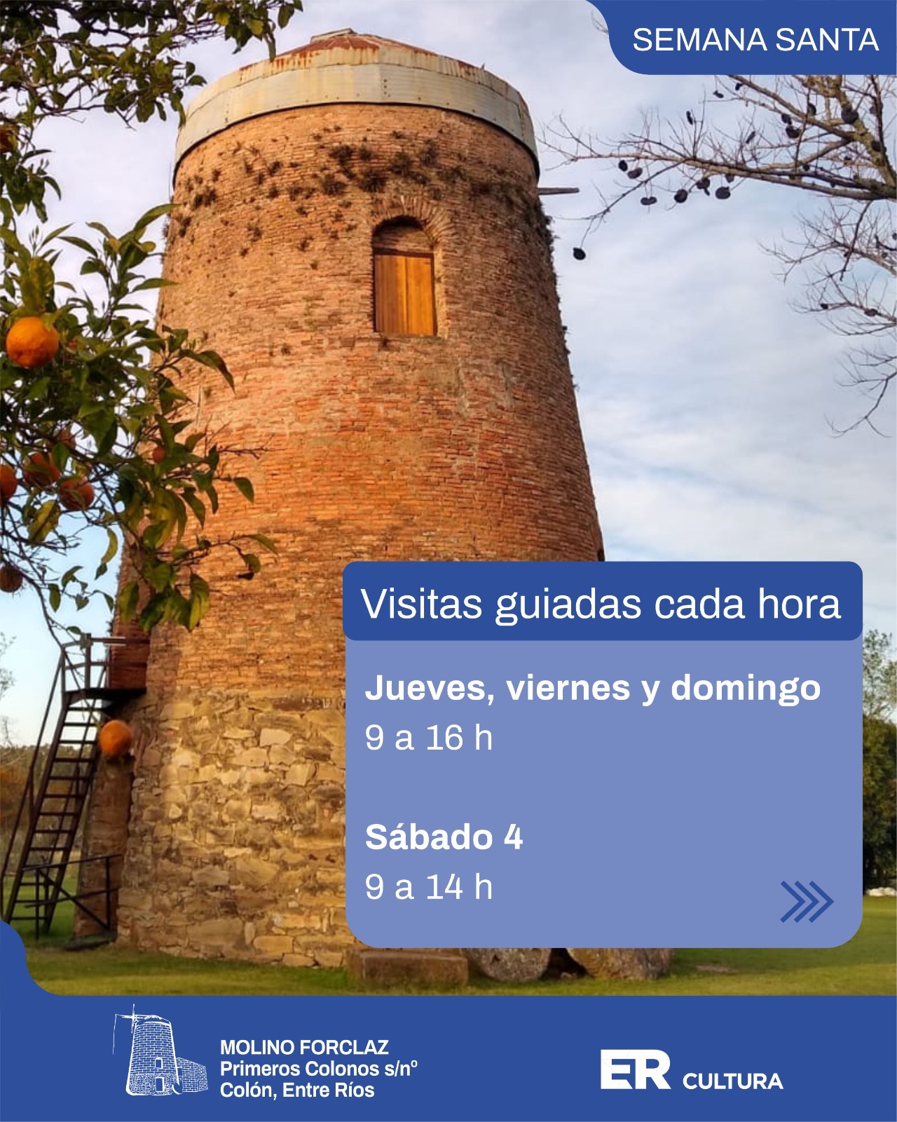 WhatsApp Image 2026-03-29 at 10.47.41 (2)