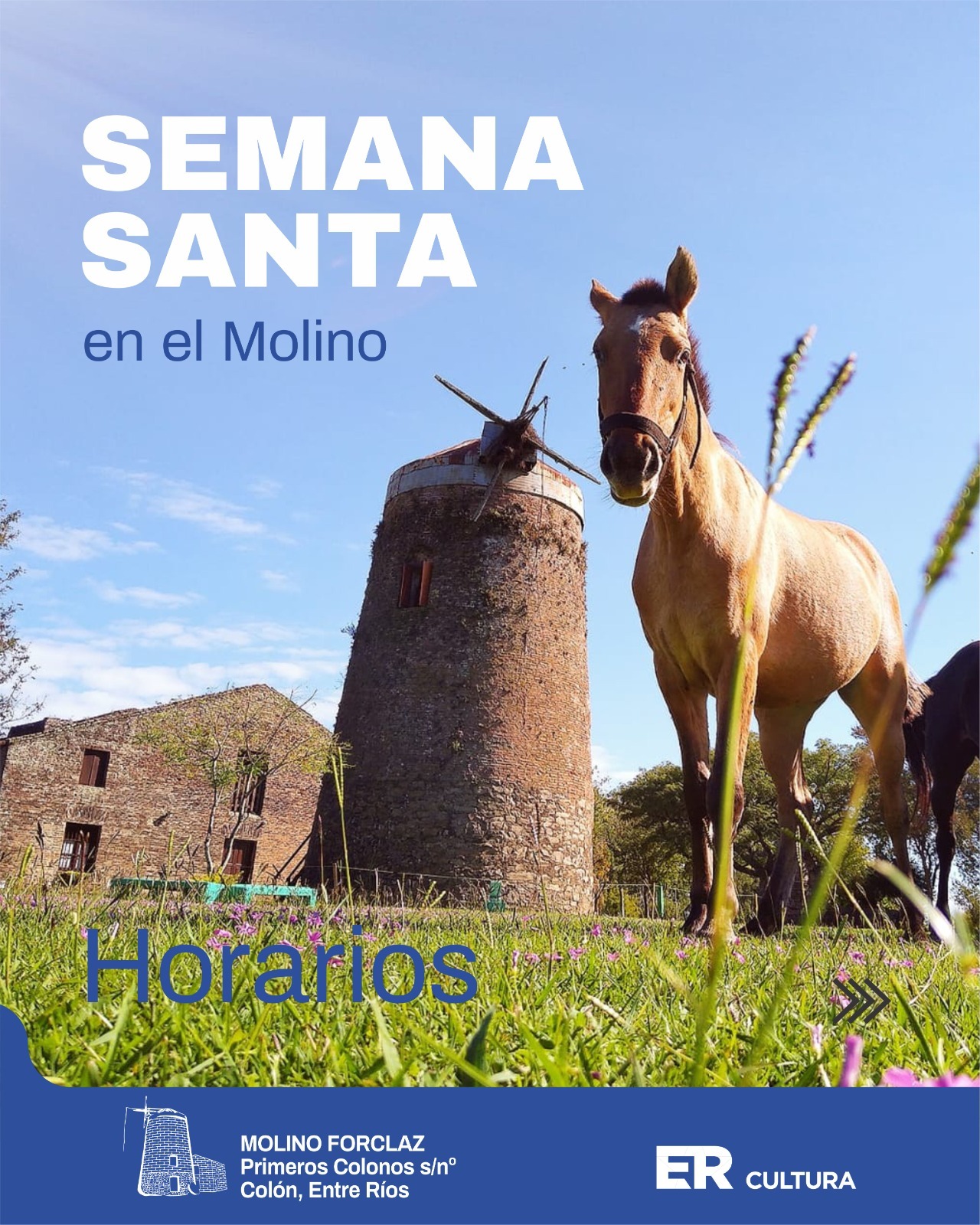 WhatsApp Image 2026-03-29 at 10.47.41