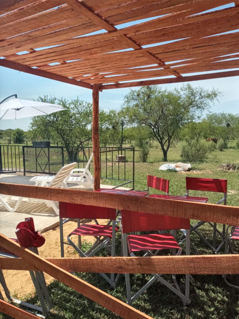 WhatsApp Image 2025-12-12 at 13.15.55