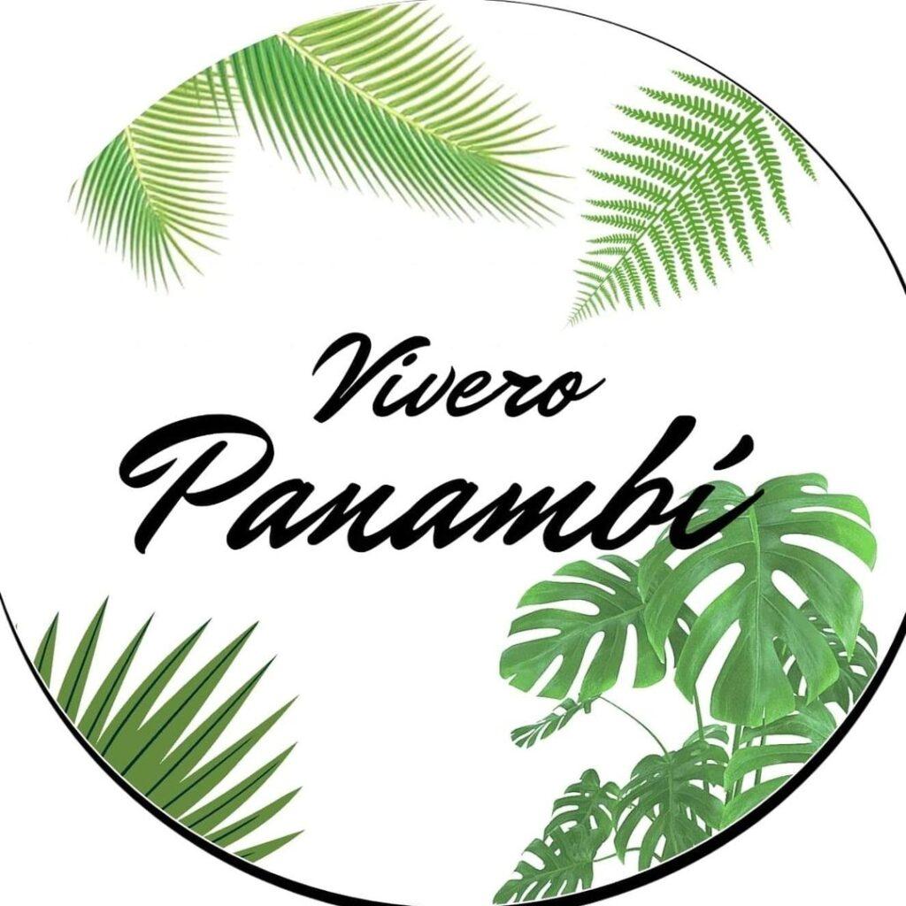Vivero Panambí plantas exóticas y algo más!