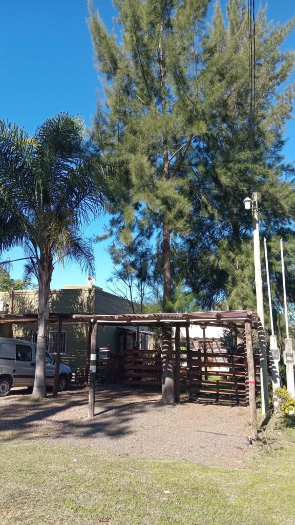 WhatsApp Image 2025-11-28 at 19.48.58 (1)