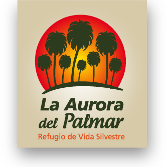 Camping La Aurora del Palmar (a 48 km)