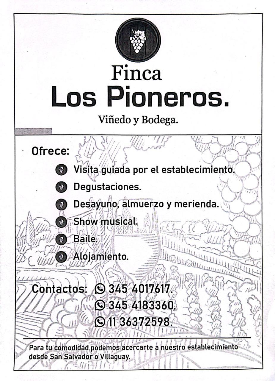 WhatsApp Image 2025-07-09 at 16.44.08