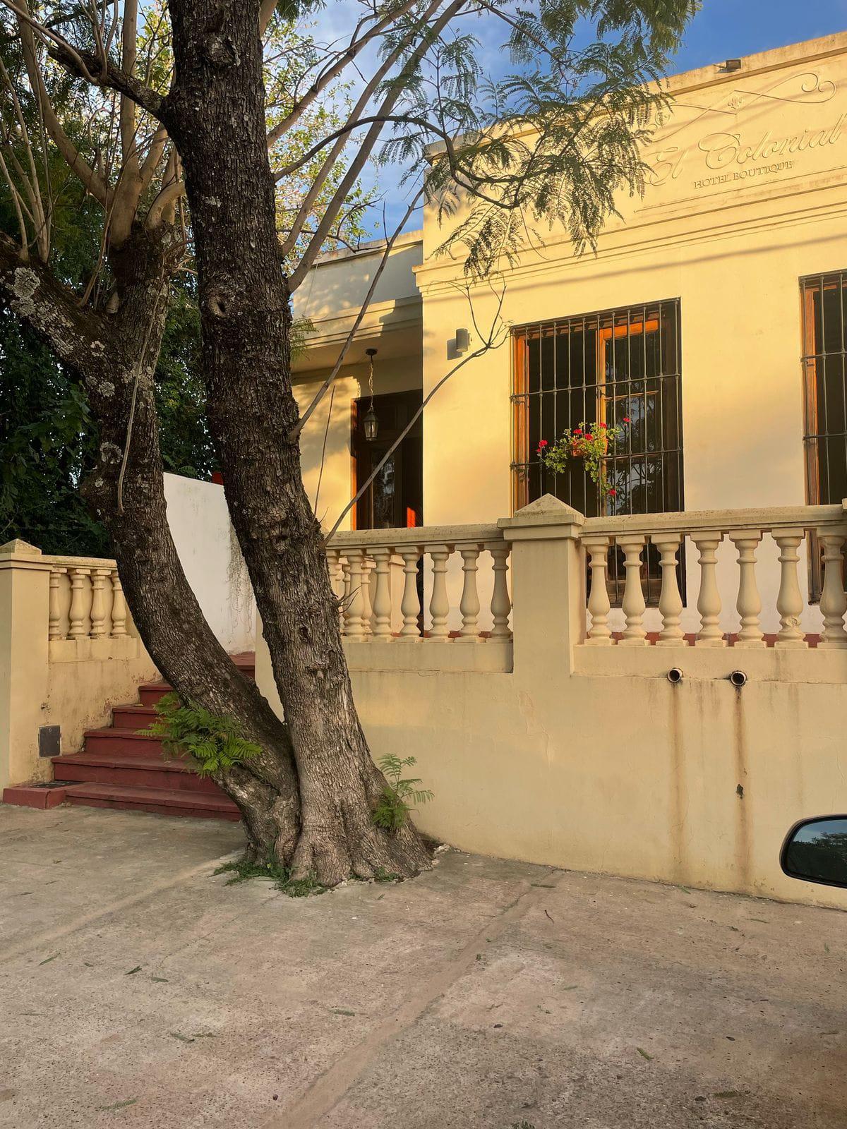 WhatsApp Image 2025-04-27 at 20.21.51 (1)