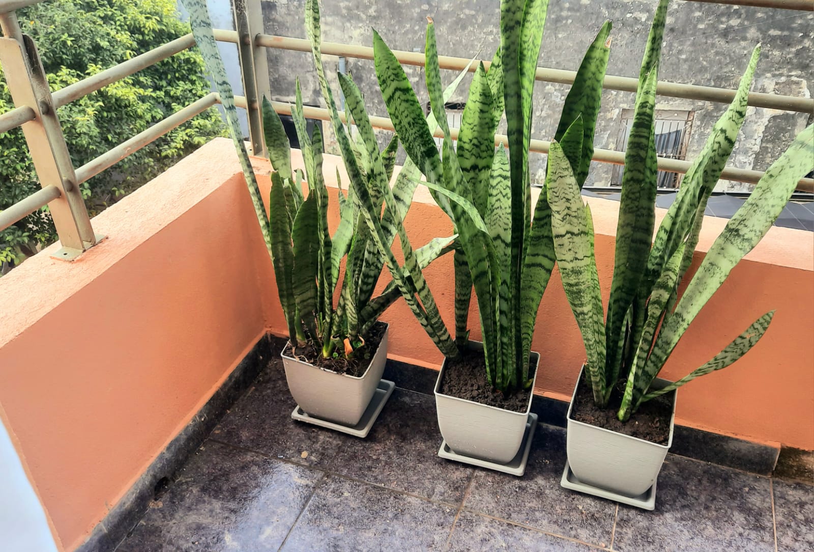 WhatsApp Image 2025-12-07 at 11.22.51 (5)