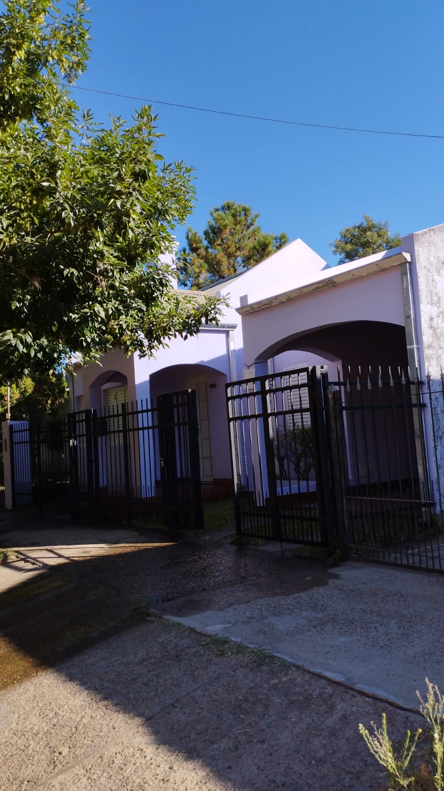 WhatsApp Image 2025-12-12 at 17.05.40