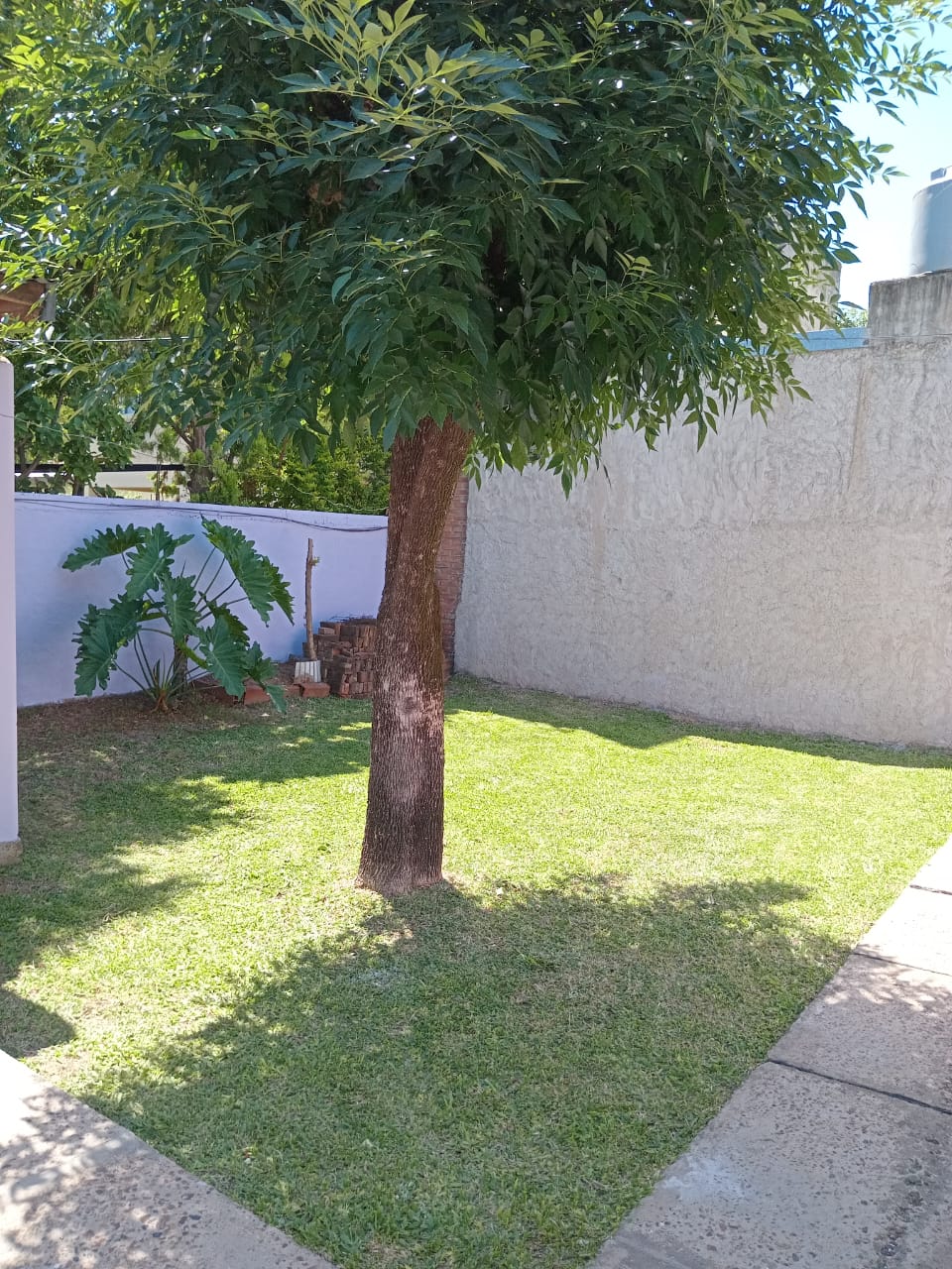 WhatsApp Image 2025-12-12 at 17.05.42 (2)