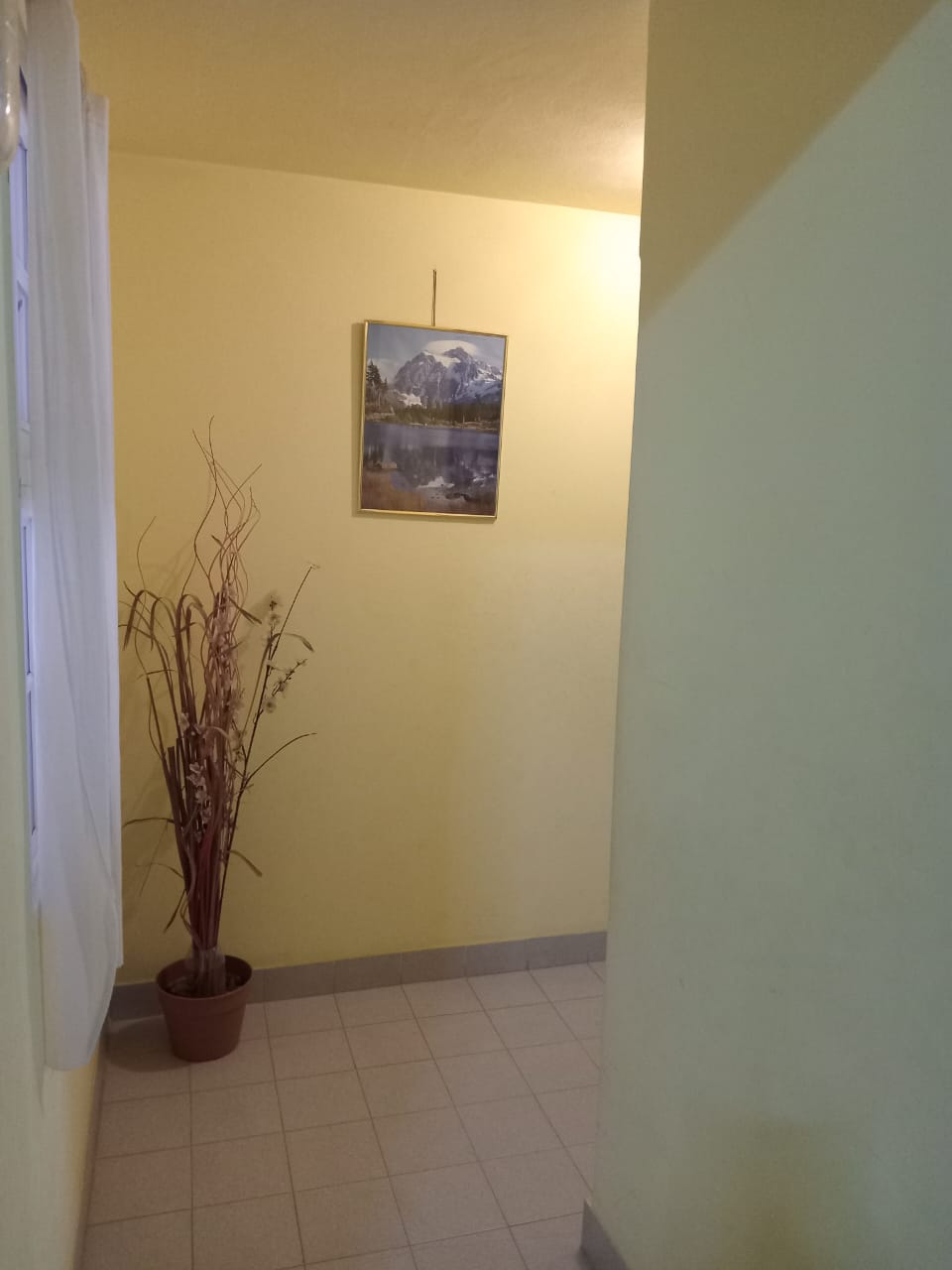 WhatsApp Image 2025-12-12 at 17.05.42