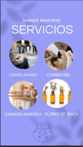 amma-servicios