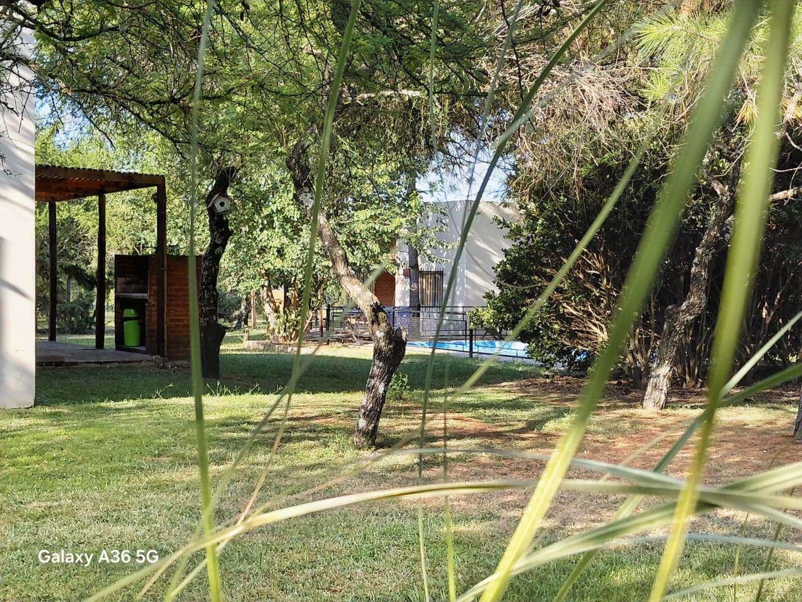 WhatsApp Image 2026-01-30 at 13.45.43 (1)