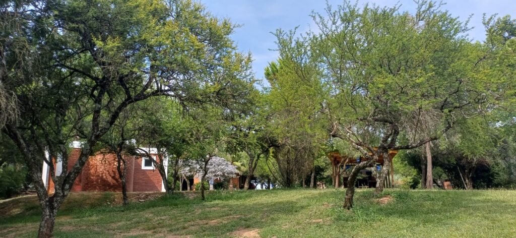 WhatsApp Image 2026-01-30 at 13.45.44 (1)