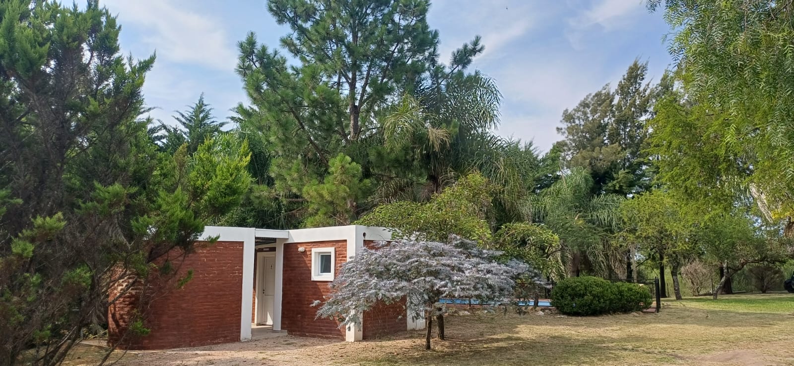 WhatsApp Image 2026-01-30 at 13.45.44