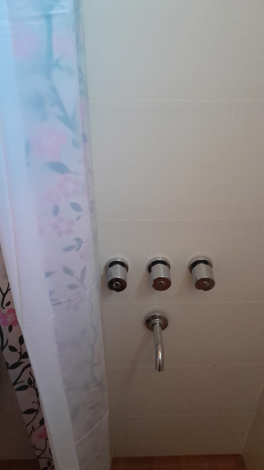 IMG-20250109-WA0065