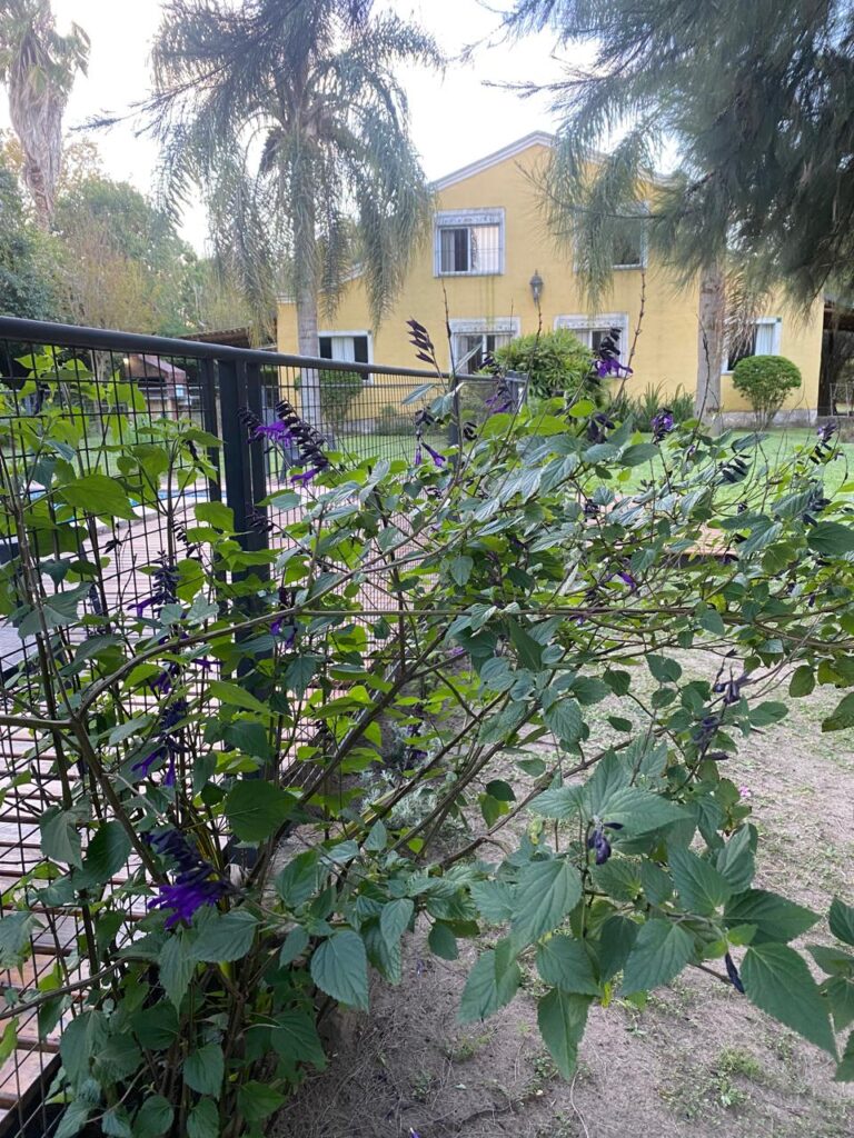 WhatsApp-Image-2025-09-27-at-6.55.36-PM-4