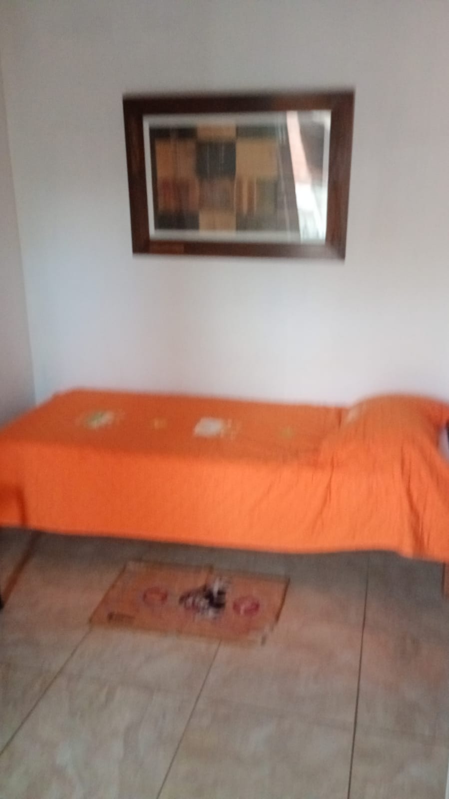 WhatsApp Image 2025-12-07 at 12.47.42