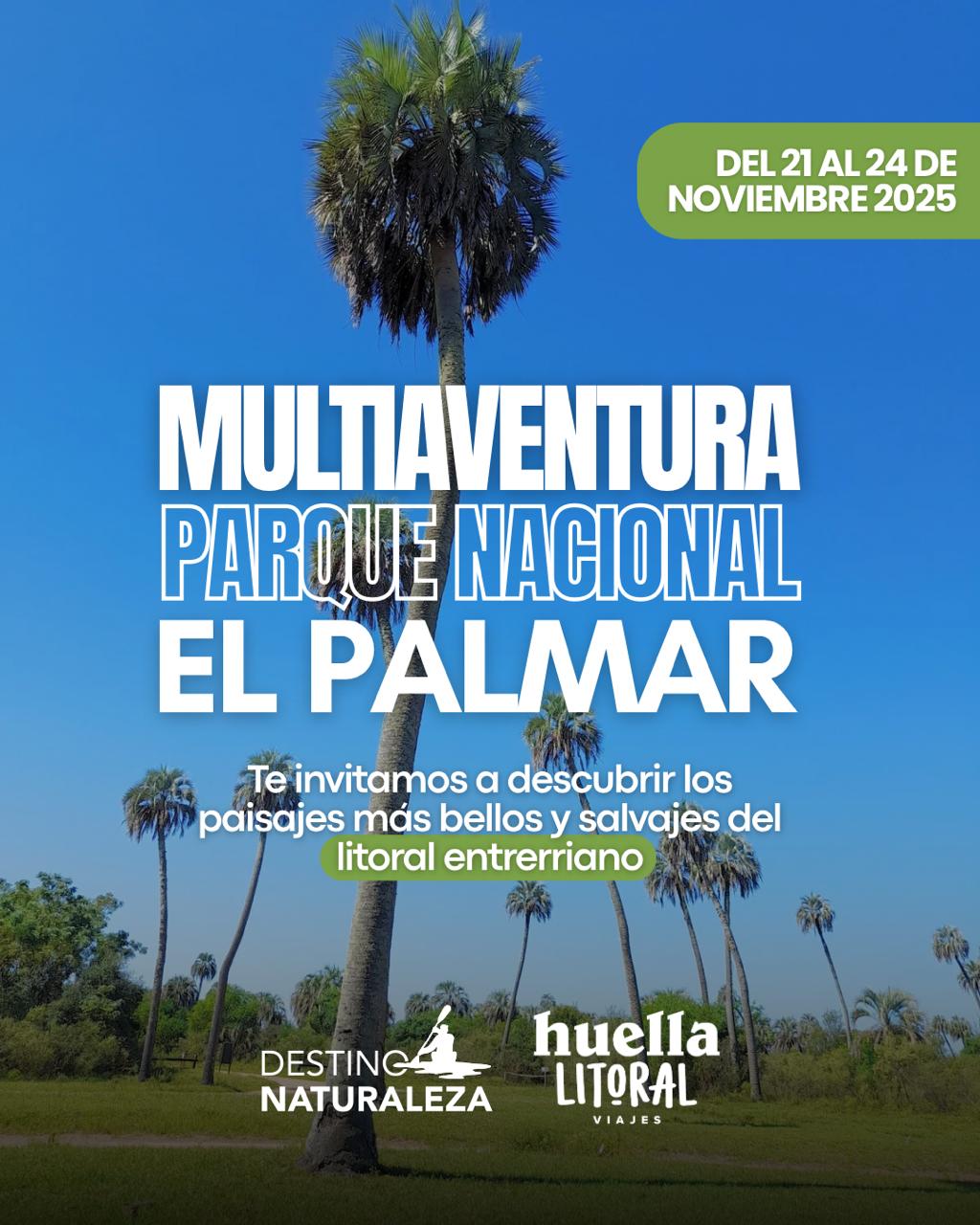 WhatsApp Image 2025-11-07 at 08.14.47